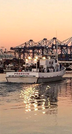 Freedom Sportfishing - San Pedro, CA